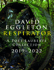 Respirator