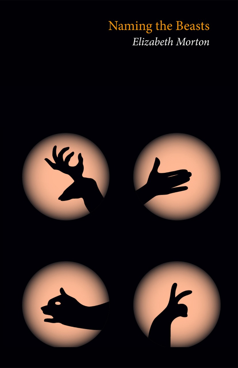 No Image Available